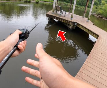 RAW & UNCUT Fishing in my Childhood Pond!!! (SURPRISE CATCH)