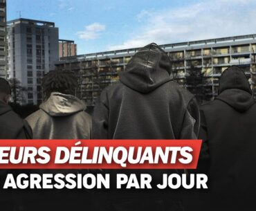 À Bordeaux, les mineurs délinquants font la loi