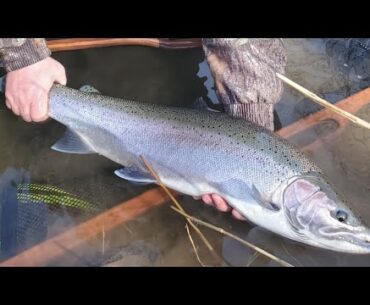 Steelhead fishing with a Special Guest!