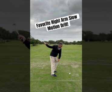 Favorite right arm drill! Join my free newsletter! https://jessfrankgolf.com/perfectswing