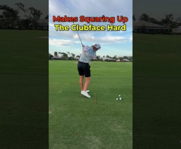 Backswing Check