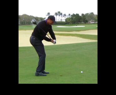 What Stands Out To You Tiger Woods Slo-Mo Golf Swing #golf #tigerwoods