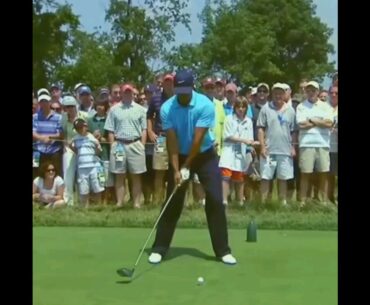 What Stands Out To You Tiger Woods Slo-Mo Golf Swing #golf