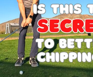 Could this Secret Check Point Fix Your Chipping Forever?? You NEED to See This!