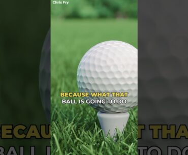 Which Golf Ball is Best for You?