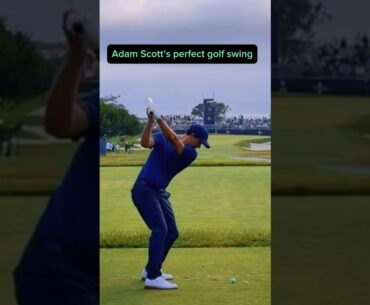 Adam Scott Slow Motion golf swing is perfect #shorts #golf