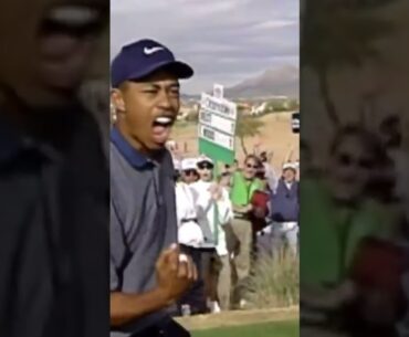 Tiger Woods Greatest Shots! #shorts #tigerwoods #golf