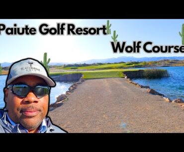 Las Vegas Paiute Golf Resort | Wolf