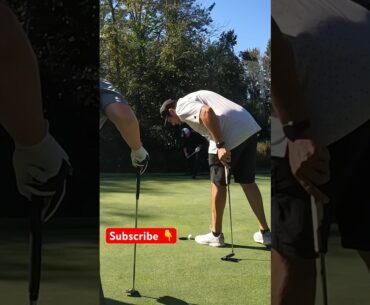 Could it have been closer?! #golf #golfswing #shorts