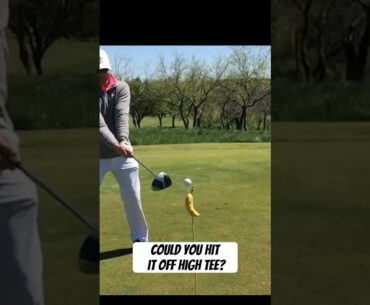 Could you hit a ball of high tee? #golf #golfshots