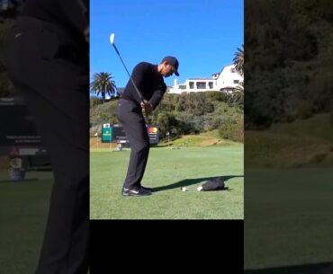 What Stands Out To You? Tiger Woods Short Game Practice #golf #tigerwoods #shorts