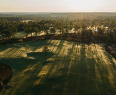 The Tree Farm Golf - Every Hole Flyover 4k