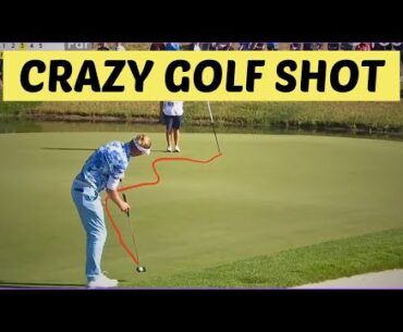 Unbelievable golf shot #holeinone #albatross #rorymcllroy
