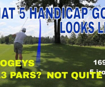 What 5 Handicap Golf Looks Like