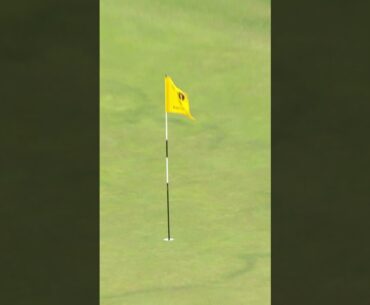 DUSTIN JOHNSON HOLE IN ONE 🤯  #theopen #golf