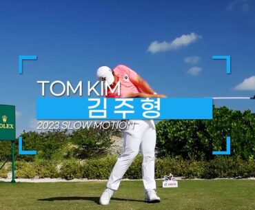 PGA우승자 | 김주형 | TomKim