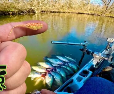 BEST CREEK CRAPPIE Fishing Video ON YouTube‼️ [so far in 2024]😜