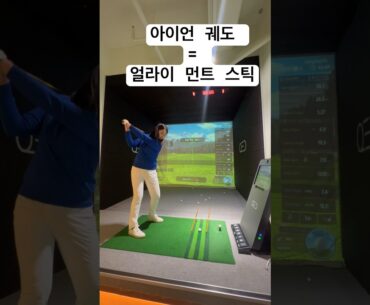 스틱으로 궤도를 알 수 있어요! #골프스윙 #비거리 #골린이 #qed #골프프로 #드라이버 #golf #klpga #trackmangolf #아이언비거리