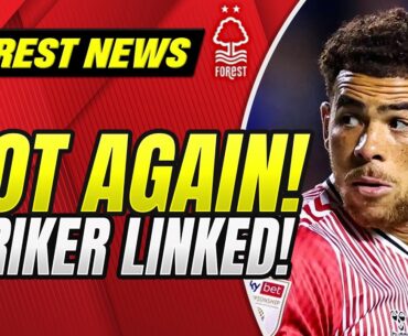 Forest Linked with Che Adams Again! 3 Players Returning from Loan! | Nottingham Forest Transfer News