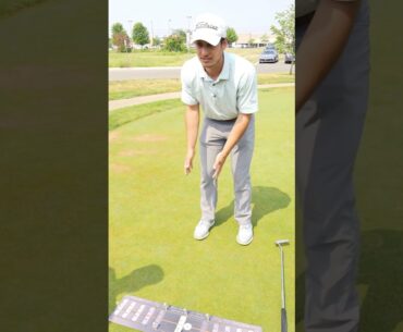 Fundamentals of the putting stroke #golftips @NoGolfNoGlory