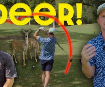 Playing Golf But Deer are in the Way