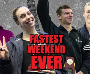 The FASTEST Weekend in College Dual Meet History | SWIMSWAM BREAKDOWN