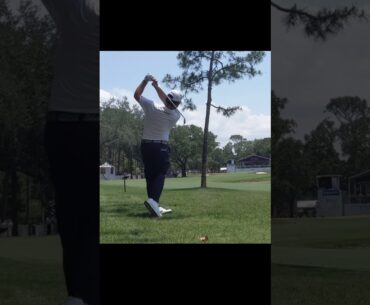 "King" Louis Oosthuizen hits an impressive recovery shot at Valspar Championship