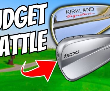 The ULTIMATE Budget Iron Test... NEW COSTCO'S vs USED PING Clubs!