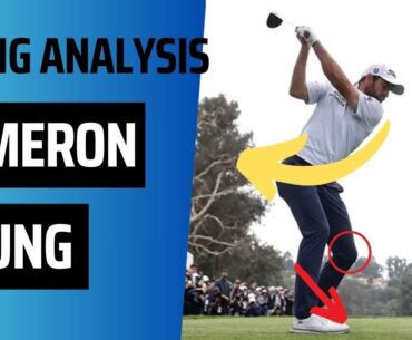 Cameron Young Swing Analysis Slow Motion