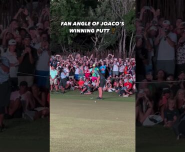 What the fans saw when Joaquin Niemann drained the winning putt at Mayakoba! #livgolf #shorts