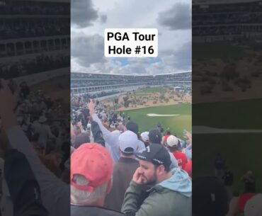 Waste Management Phoenix Open PGA Tour hole #16 is always insane. #PGAtour #PGA #Golf #Fans #Beer