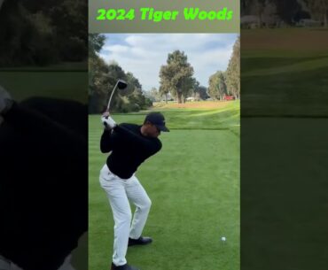 2024 Tiger Woods Awesome Swing Motion & Slow Motion,#Tigerwoodsnewswing2024
