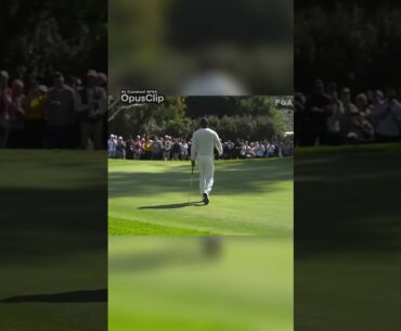 Masterful Putt from Off the Green by Chris Kirk at PGA Tour 2022 #golfchat #worldclassgolf #golfswin