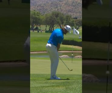 Tommy Fleetwood drains a chip shot!