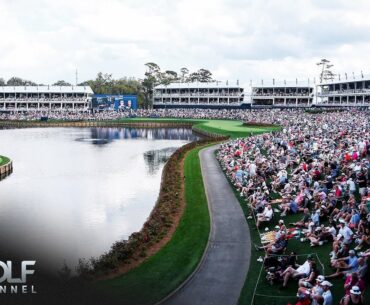 Best, worst shots of the weekend from TPC Sawgrass No. 17 | The Players Championship | Golf Channel
