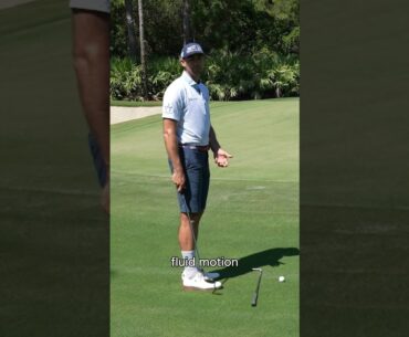 Cameron Tringale: Chipping 101