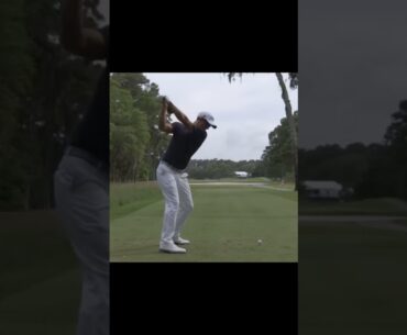 Does Adam Scott have the perfect golf swing??? #golf #short #golfshort