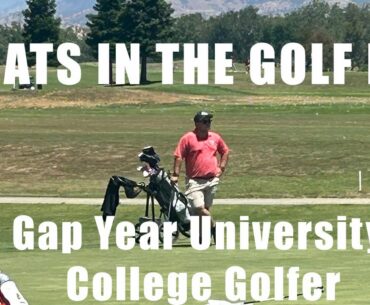 Whats in my golf bag?|  2024 Former College Golfer Edition