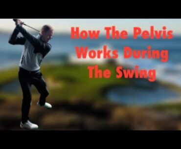 How The Pelvis Works In The Golf Swing