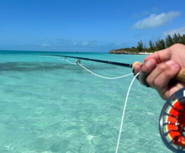 Fly Fishing the Tropics & LOOK OUT Shark!!