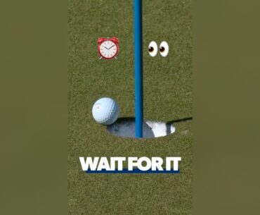 WAIT 'til you see THIS chip-in! ⏰👀
