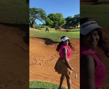 Golf and wildlife.#lifestylevlogger #golfcourselife #golfer #golfshorts #femalegolfers #lifestyle