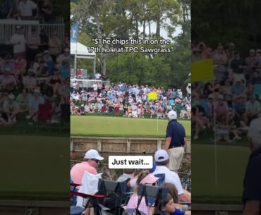 This is why they’re professionals #golf #tpcsawgrass #pga