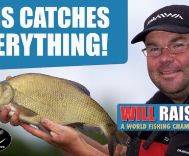 Chopped Worm & Caster  | Will Raison Fishing