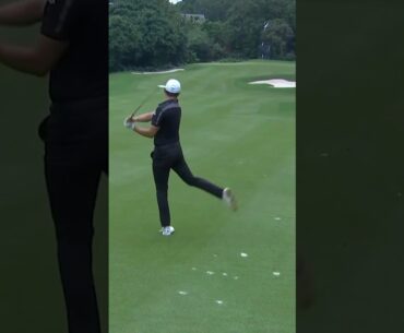 A LOT to digest with this golf clip 😮