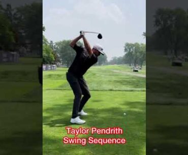 Taylor Pendrith Driver DL Swing Sequence