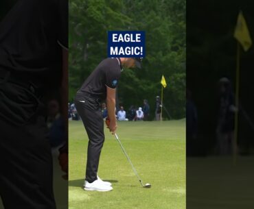 OUTRAGEOUS chip-in for eagle! 😱