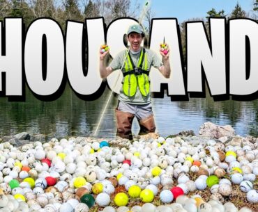 RARE Golf Ball Hunting for Crazy Expensive Lost Treasures!