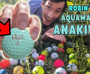 Golf Ball Hunting for RARE Colors and Numbers! (JACKPOT!)
