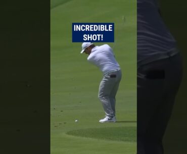 AMAZING spin to hole-out! 😱